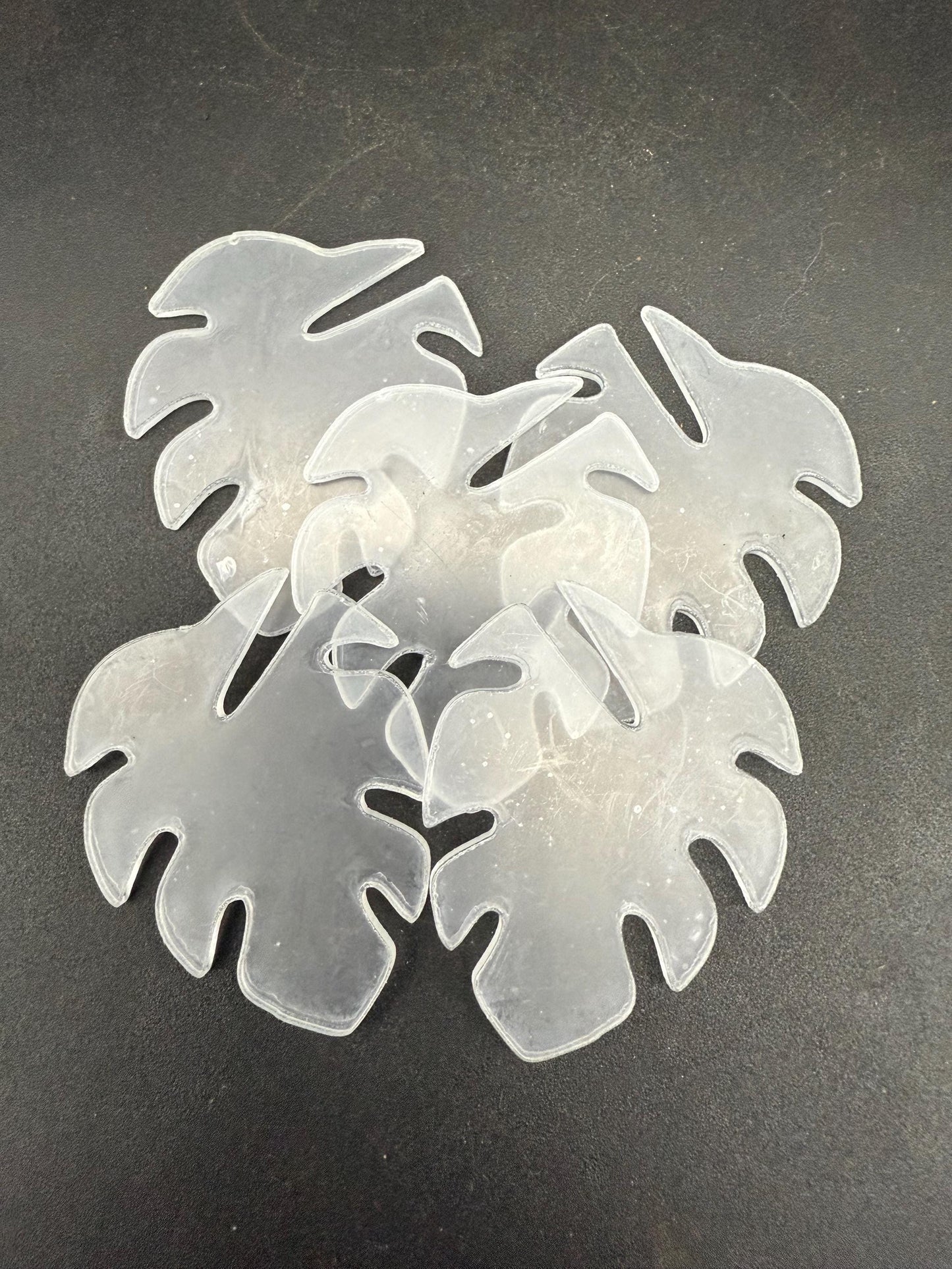 Monstera Plant Tags (Set of 5)